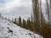 Morteza_Saberi_Aban93 (10)_resize.JPG 